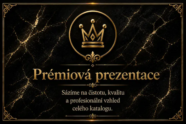 Prémiová prezentace profilu na VIP Creators